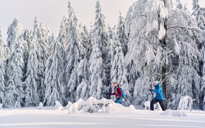 Winterwandelen op de Top Trails of Germany